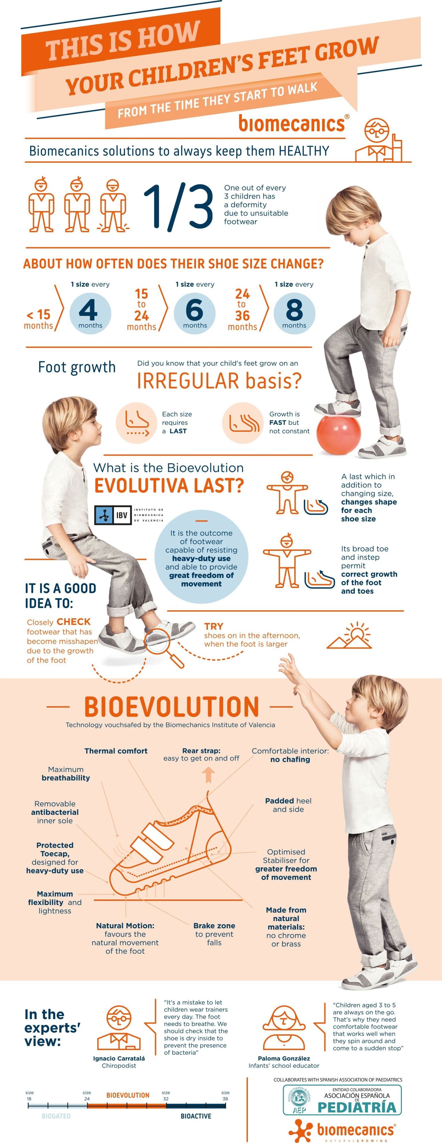 AF infograf bioEVOLUTION-EN1